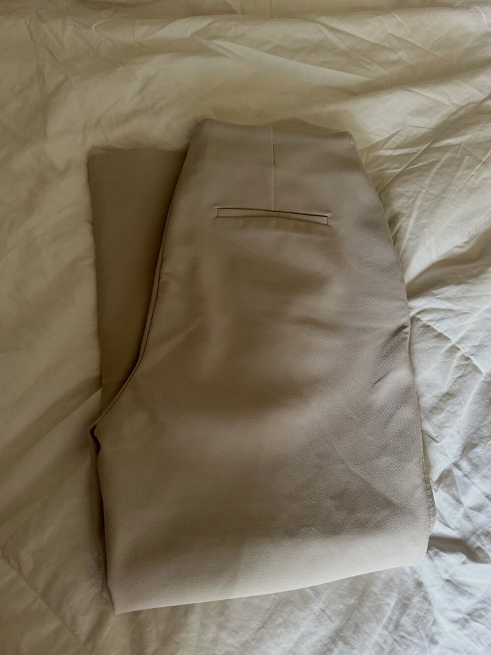 achel Zoe Beige Office Trousers Dress Pants Size 6 - Picture 3 of 9